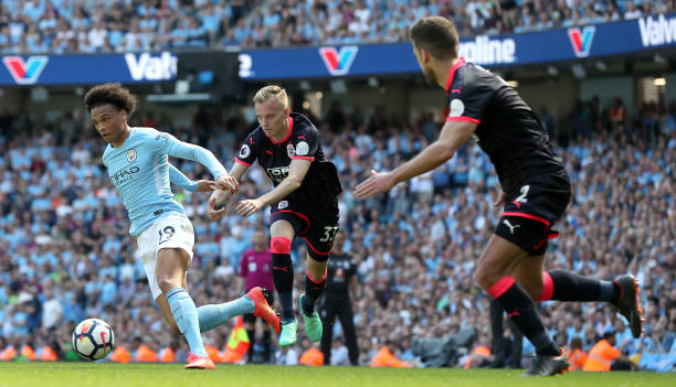 为后来者树 为后来者树