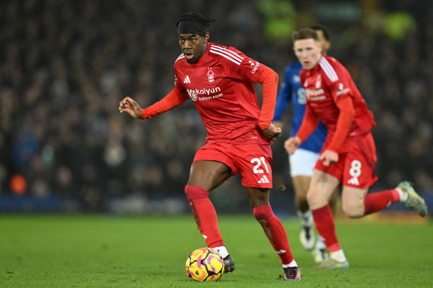 巩固了自己 巩固了自己