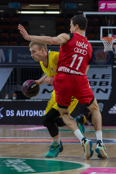 雄狮队一直 雄狮队一直